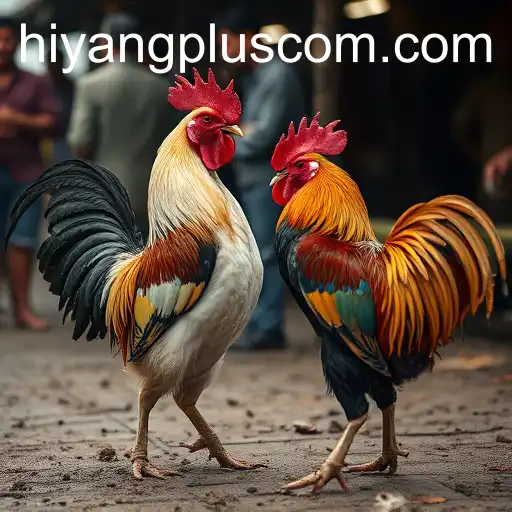 The Complex World of Cockfighting: Tradition Versus Ethics